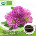 Natural Plant rhodiola rosea extract powder Rosavins 3% Salidroside 1%